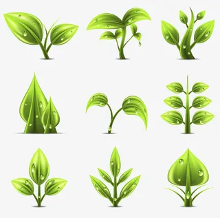 碧绿的树叶免抠