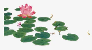 荷花中国风装饰图免费下载免抠