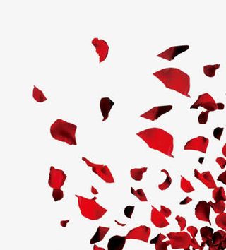 情节节玫瑰花瓣漂浮免抠