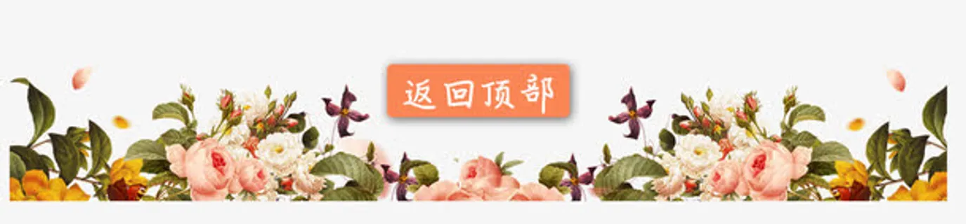 主页底部花卉免抠