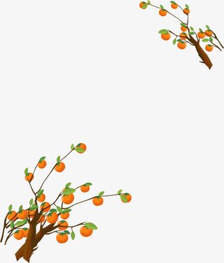 矢量手绘柿子边框免抠