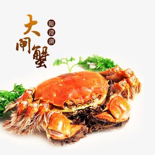 淘宝天猫大闸蟹河蟹主图直通车海免抠