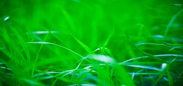 淘宝背景图高清