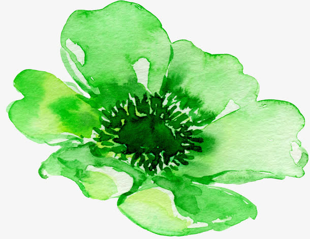 盛开的花免抠