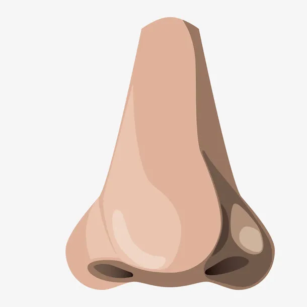 矢量鼻子免抠