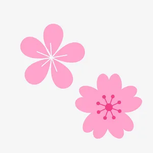 春天植物粉红色花朵春季樱花桃花免抠