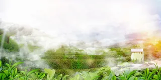 茶园海报背景图高清