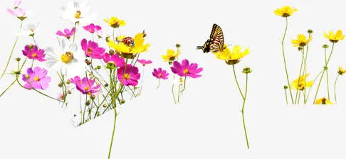 清新春季花朵蝴蝶免抠