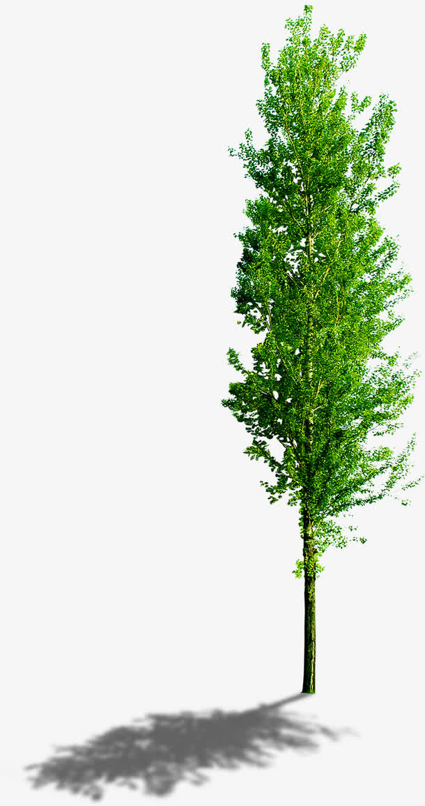 绿树美景大树景观植物免抠