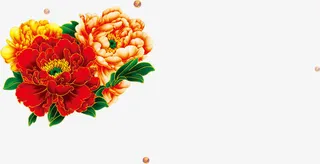 高清摄影节日花朵素描设计免抠