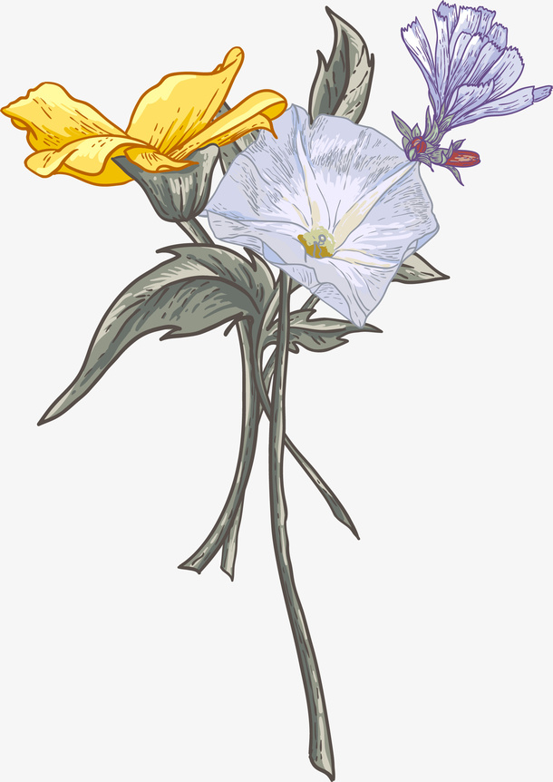 手绘多彩花朵花瓣免抠