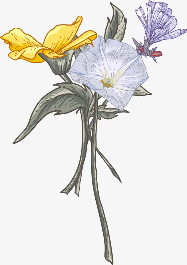 手绘多彩花朵花瓣免抠