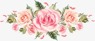 植物卡通效果油画花朵免抠