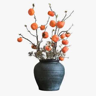 仿真柿子果树枝免抠