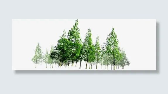 春天户外树林风景免抠