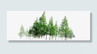 春天户外树林风景免抠