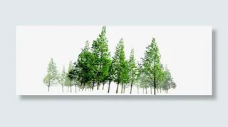 春天户外树林风景免抠