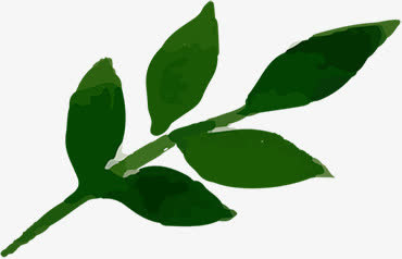 春天的树叶植物水彩合成免抠