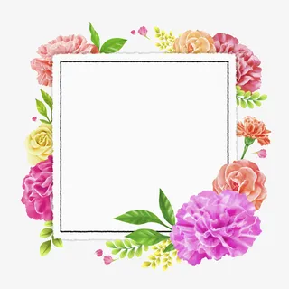 母亲节康乃馨卡片插画免抠