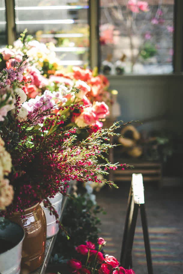 春天美丽清新五颜六色花朵免抠背景H5背景元素