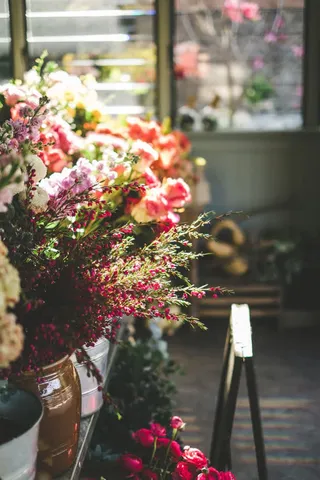 春天美丽清新五颜六色花朵免抠背景H5背景元素