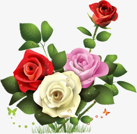 彩色露珠玫瑰七夕情人节免抠