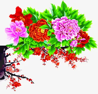 手绘富贵花春节卡片免抠