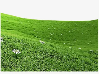 绿色草地素材免抠