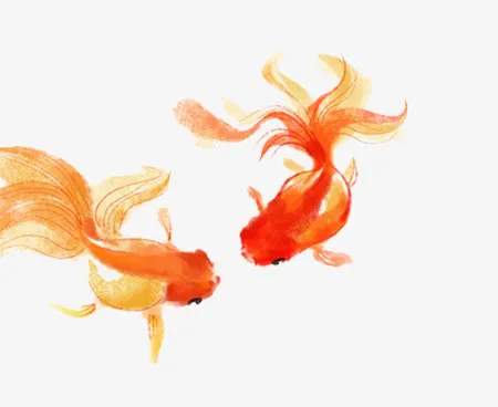 手绘金鱼免抠