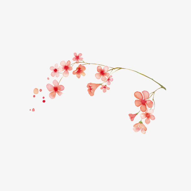粉色小花免抠