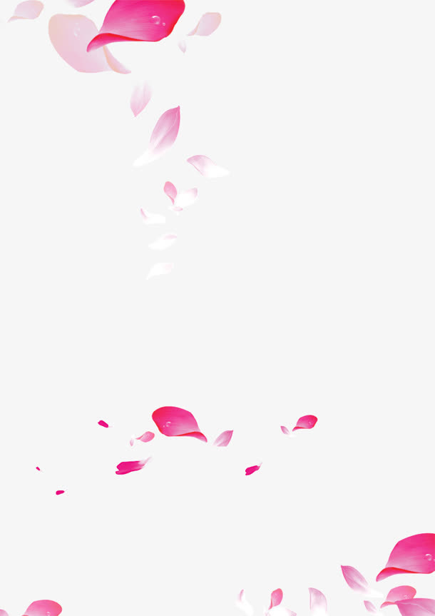 花瓣 png漂浮png素材免抠