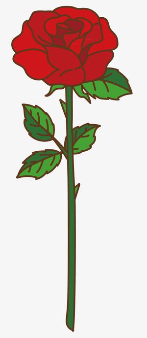 一朵颜色很红的玫瑰免抠