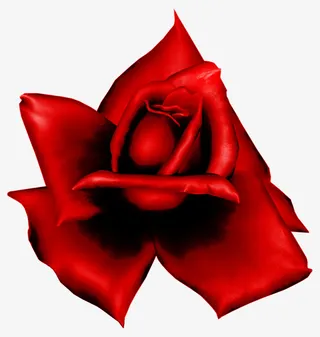 手绘鲜花春季素材10免抠