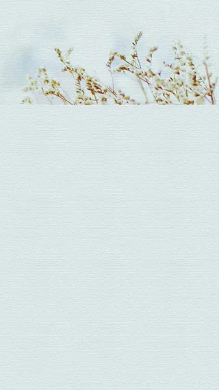 简约质感文艺H5高清