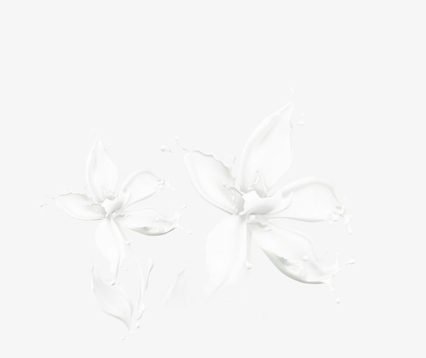 牛奶花瓣免抠