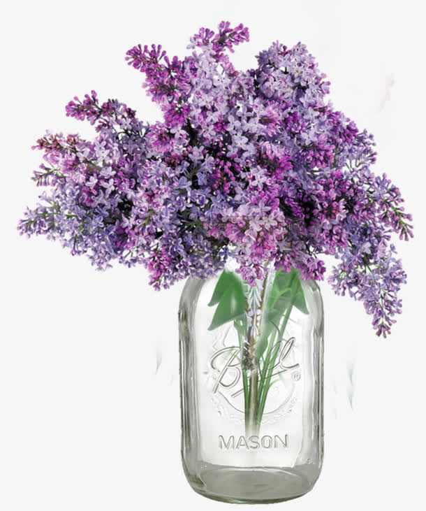 鲜花薰衣草免抠
