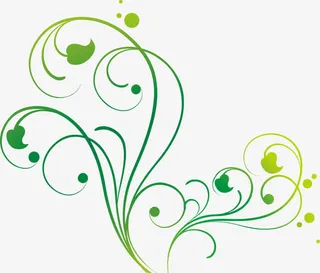 手绘线条绿叶蔓藤免抠