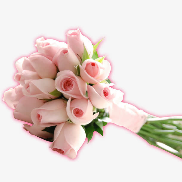 白玫瑰免抠动植物植物元素