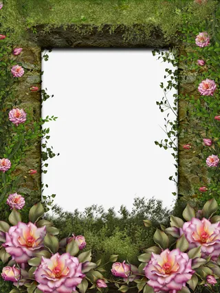 最美相框235免抠