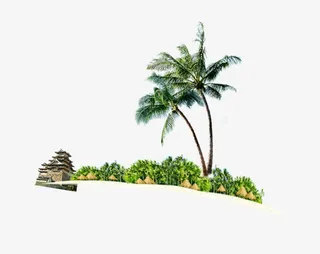 绿色草地椰子元素免抠