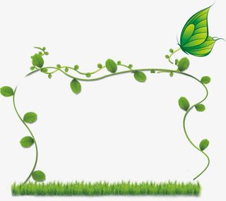 绿色藤蔓边框免抠