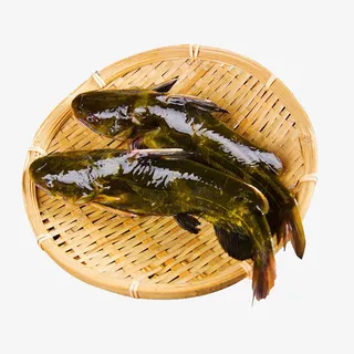 两条装篮昂刺鱼免抠