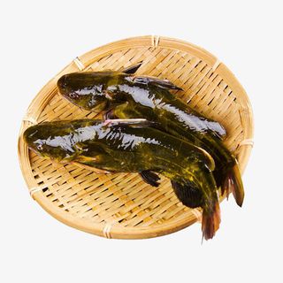 两条装篮昂刺鱼免抠