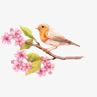 手绘花鸟免抠