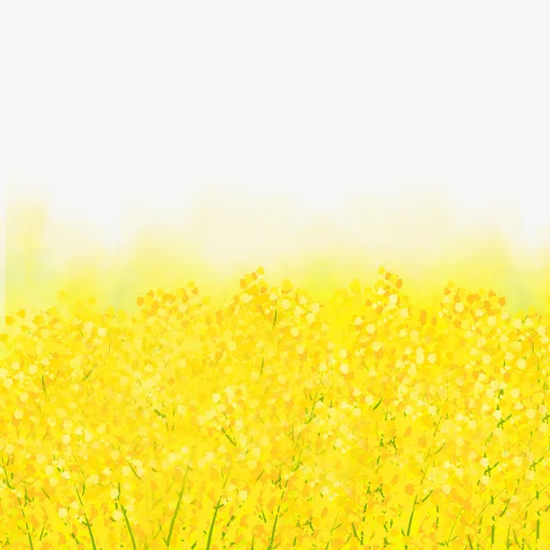 金色装饰油菜花卡通植物黄色元素免抠