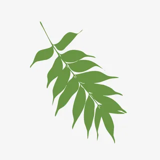 手绘绿色树枝元素免抠