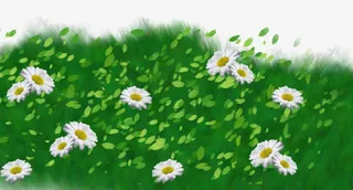 绿色叶子 白色花朵 png素材免抠