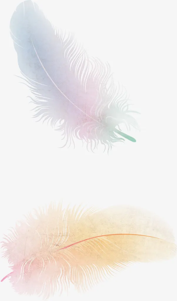 羽毛合集素材免抠