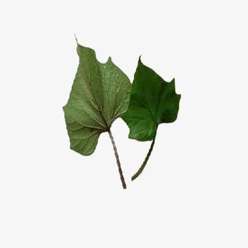 健康食物免抠