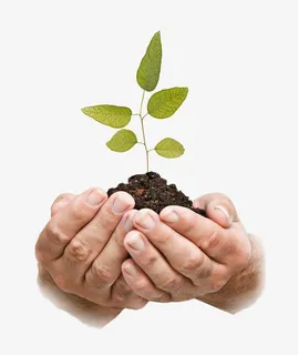 植树节手捧绿植免抠